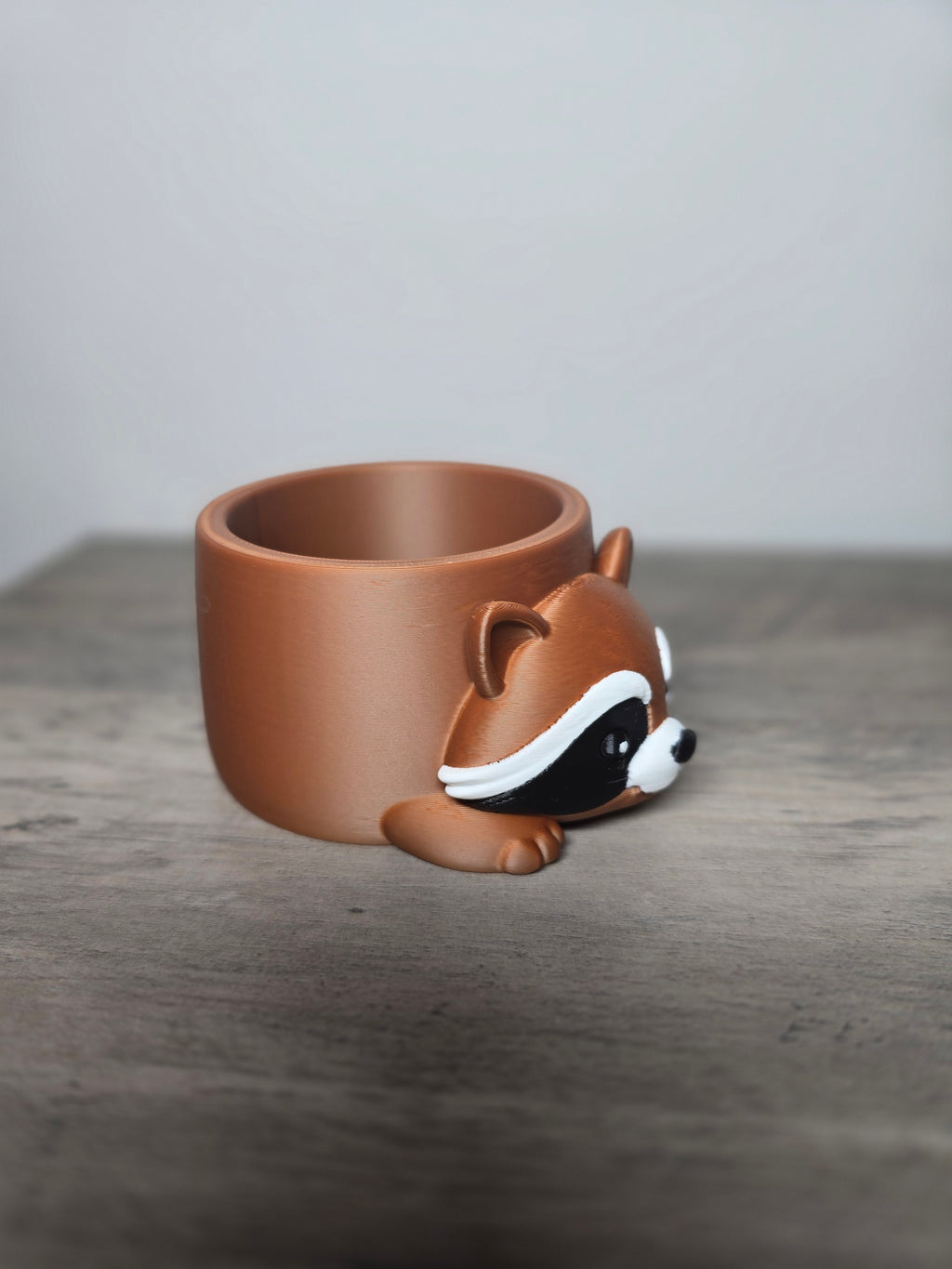 3D Printed Raccoon Planter | Cute Animal Succulent & Plant Pot | Desk & Home Décor | 4m3d Design Art