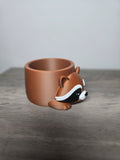 3D Printed Raccoon Planter | Cute Animal Succulent & Plant Pot | Desk & Home Décor | 4m3d Design Art