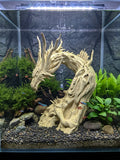 3D Printed Dragon Aquarium Decor | Fantasy Aquascape Centerpiece | 4m3d Design Art