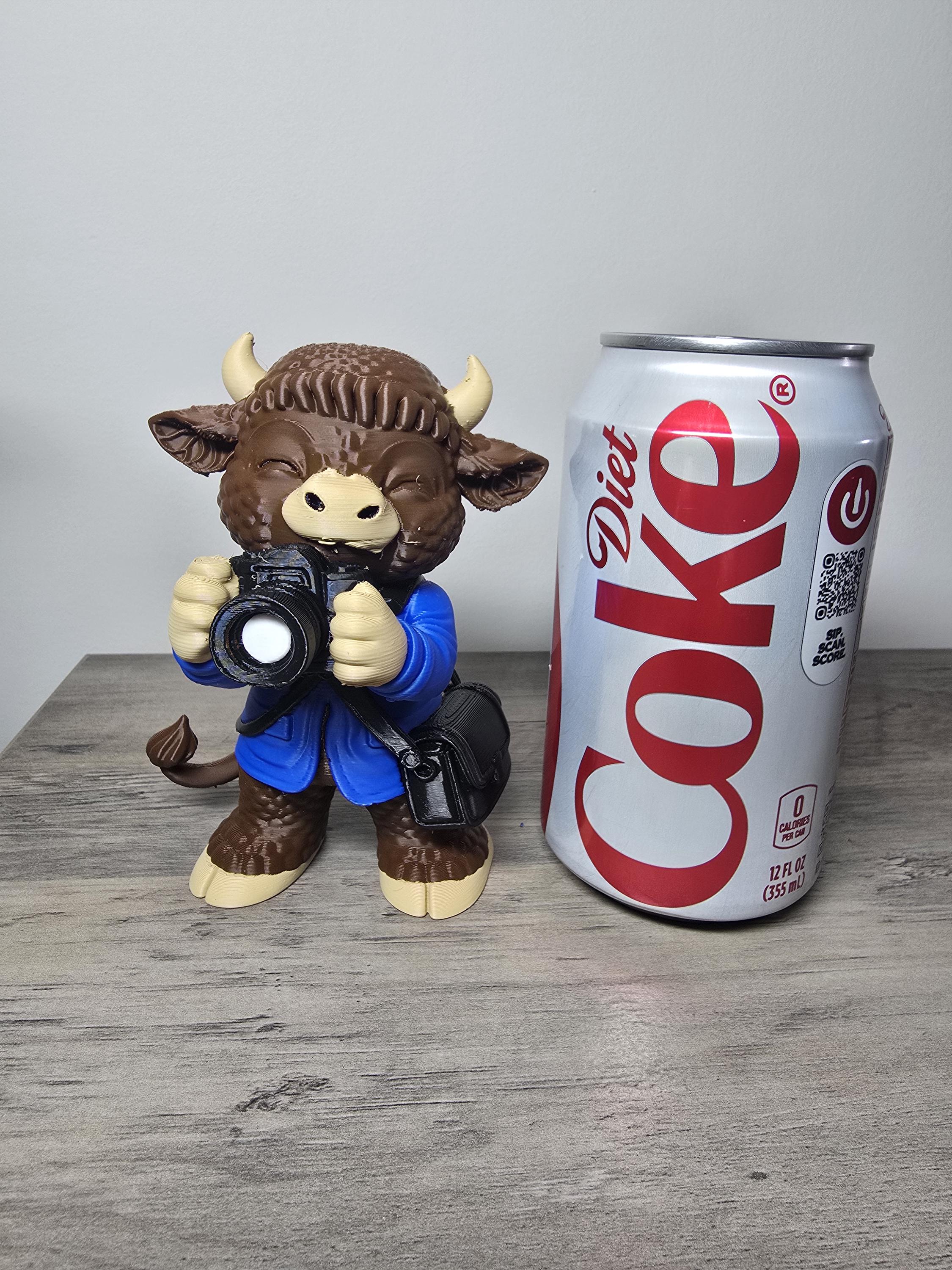 3D Printed Highland Cow Photographer Figurine | Funny Unique Gift | 4m3d Design Art