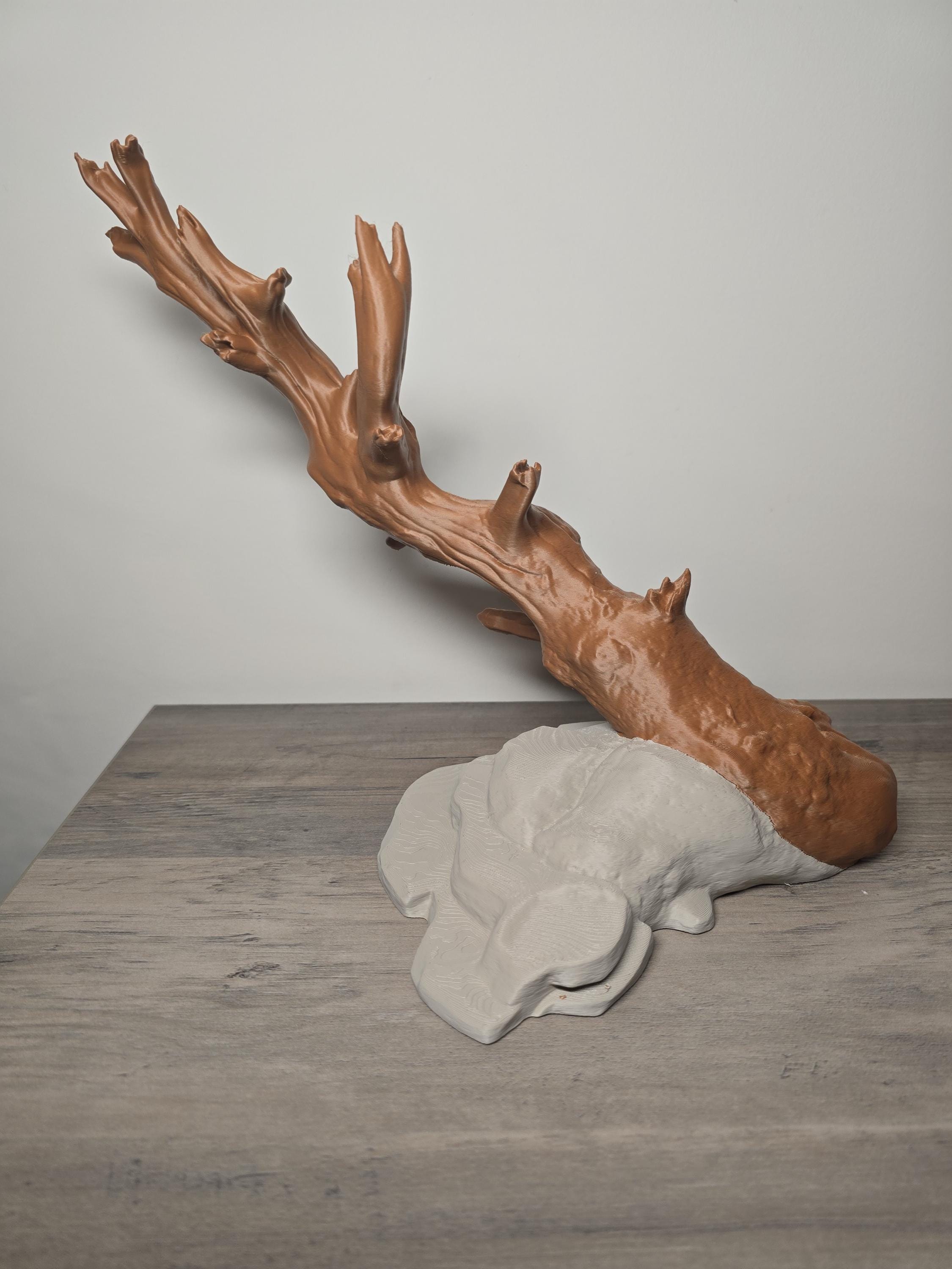 3D Printed Tree Branch and Cave Aquarium Decor | 11x7x9 Inches | 4m3d Design Art