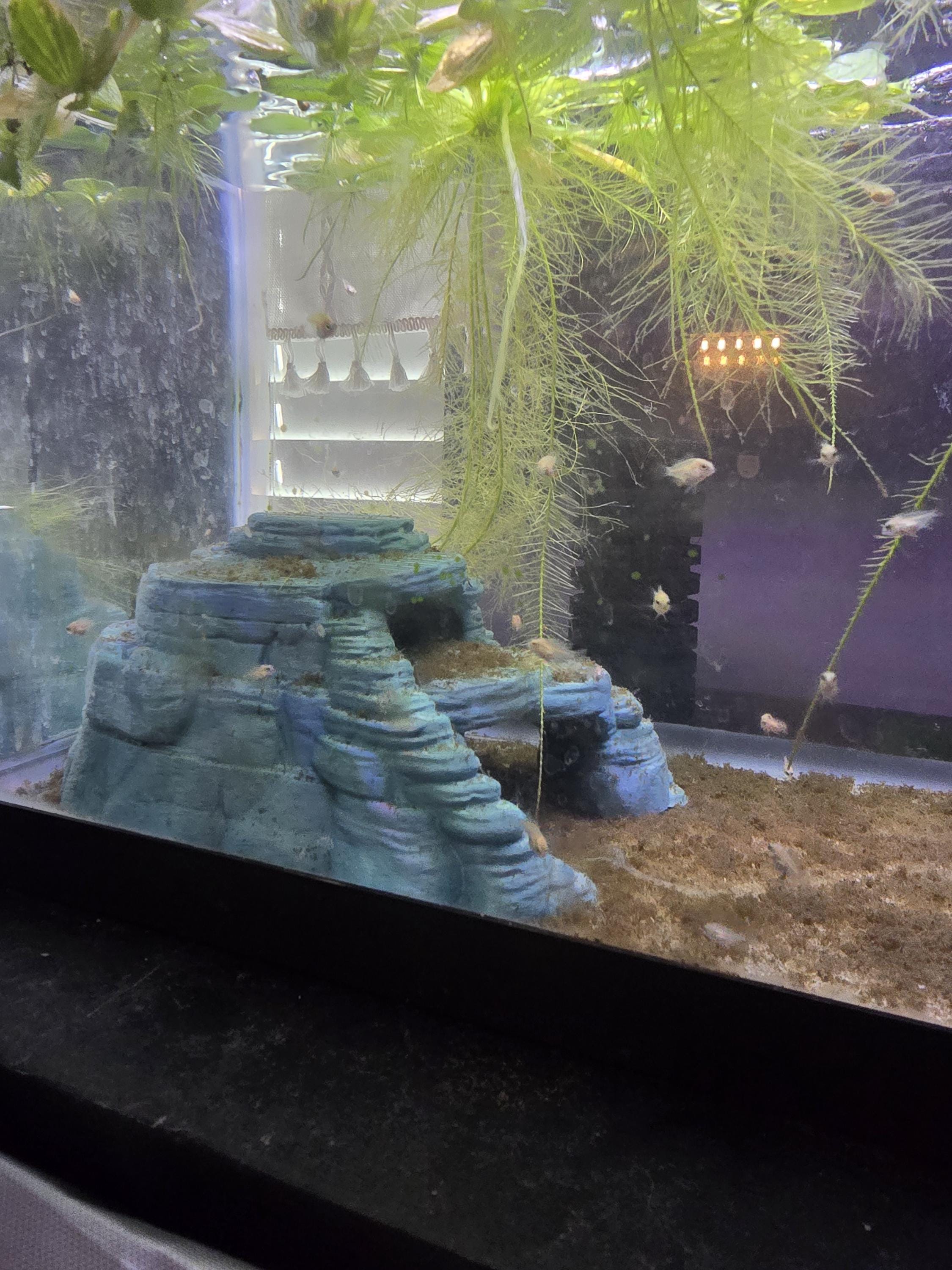 3D Printed Rock Formation Aquarium Decor | Fish Hideaway | 8x8x3.5 In | 4m3d Design Art
