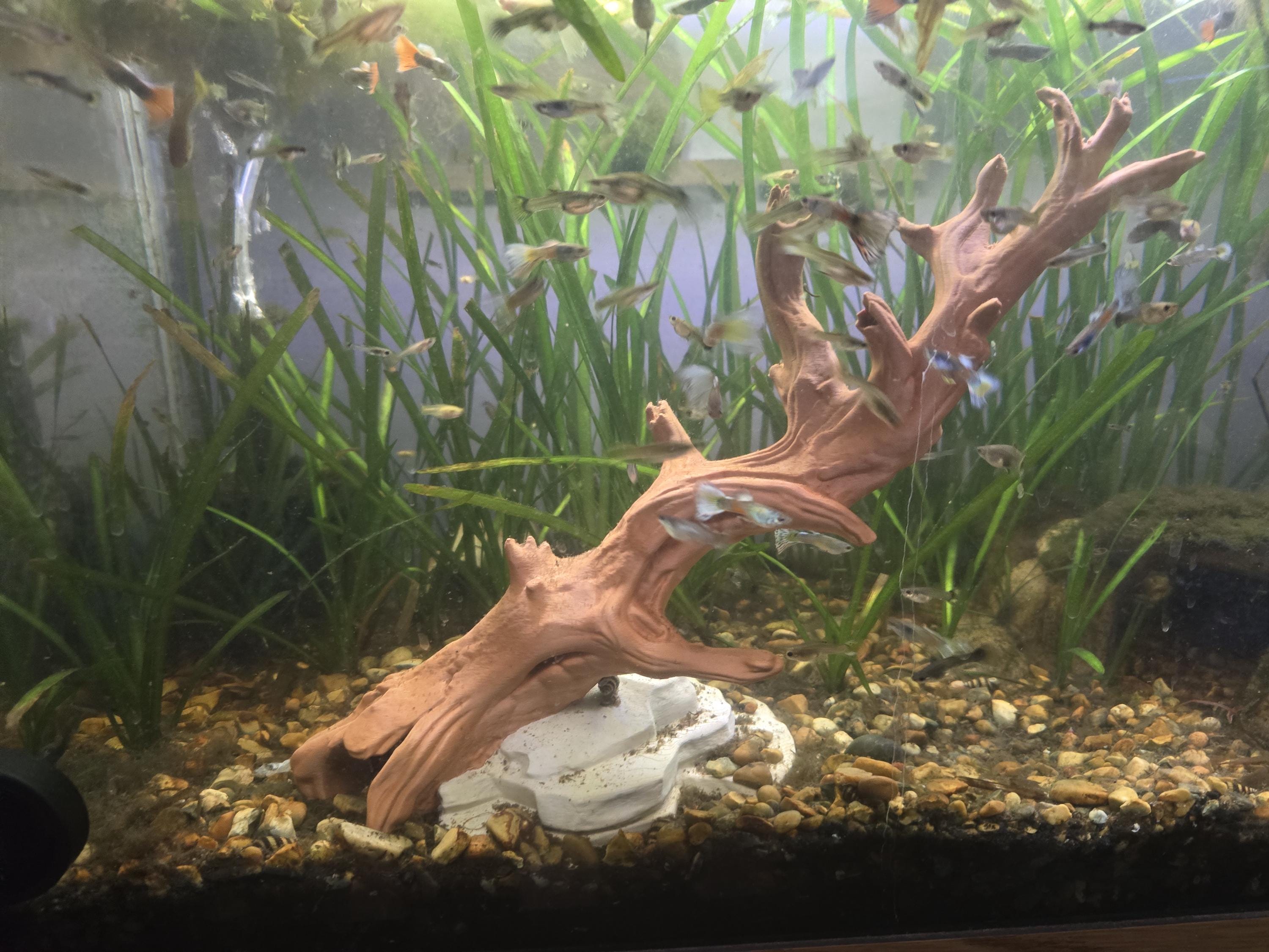3D Printed Tree Branch and Cave Aquarium Decor | 11x7x9 Inches | 4m3d Design Art